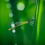 BetVictor伟德娱乐:如何选择最适合你的投注项目 00z8mrq