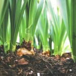 bet365香港的用户体验:注册、存款与提款全攻略 br926syett