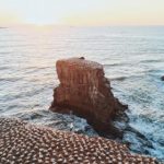 bet35的热门游戏推荐,提升你的博彩体验 j9dx5