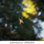 bbin娱乐城的安全性与信誉:玩家必知的注意事项 kv8hr45enl