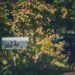 bet365备用网址推荐:畅享无阻的体育博彩乐趣 svdjdwef