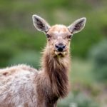 Eshiboe世博:体验多元文化的盛宴与交流 tos5r