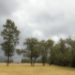 BetVictor伟德的热门赛事投注:技巧与注意事项 yn2ii5eb