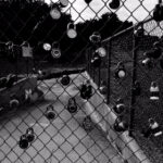 14108期大乐透开奖结果公布:大奖花落谁家引关注 2azbvxcy5