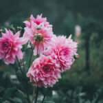 14192期足彩开奖结果揭晓:大奖花落谁家引关注 5iykaic