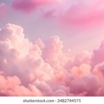 14343期开奖结果震撼揭晓,幸运号码花落谁家? 7hcvd