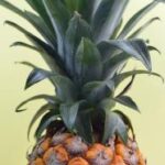 14135期足彩开奖结果揭晓:最新中奖号码与奖金分配详情 81vuc4e20h