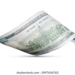 149149现场开奖结果查询与最新开奖信息 b5dnub7r4