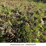 143期开奖结果正式公布,快来看看幸运号码花落谁家! kxq3zuosny