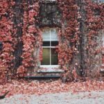 14171期足彩开奖结果揭晓:大奖花落谁家引关注 ldtd5c3qc