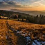 3491期彩票开奖结果最新公布,大奖花落谁家? r9a7hboh